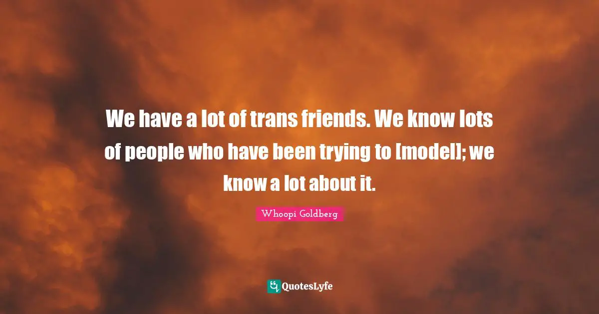 We have a lot of trans friends. We know lots of people who have been trying to [model]; we know a lot about it.