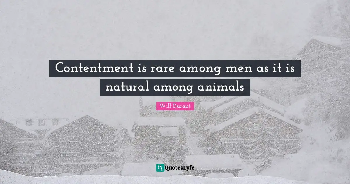 Contentment is rare among men as it is natural among animals