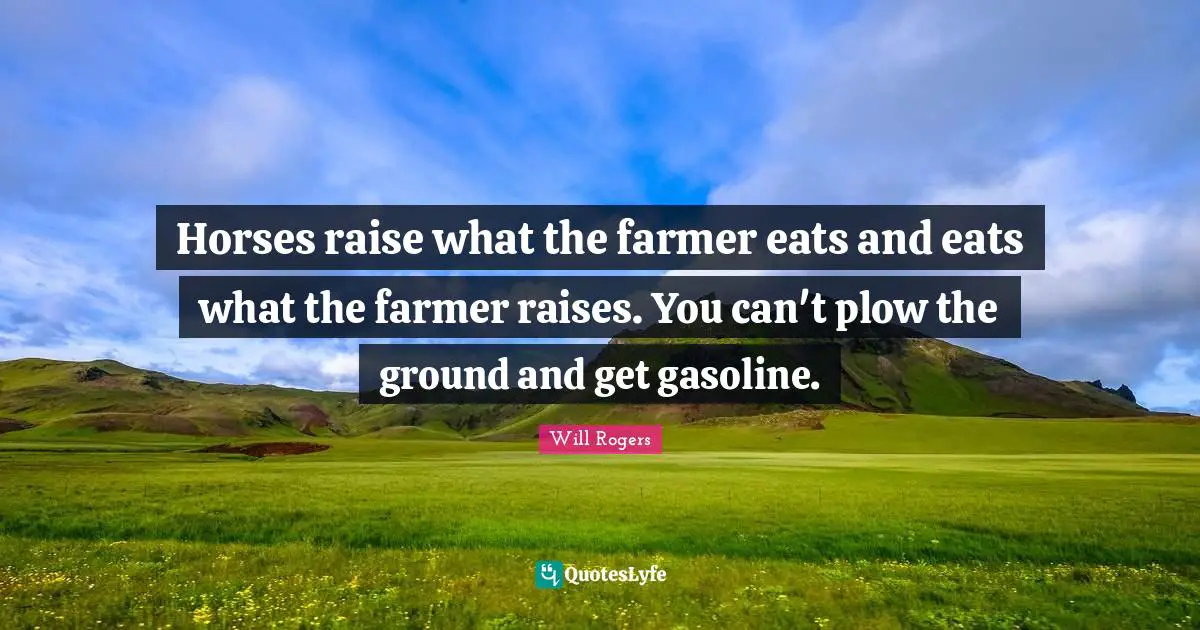 Gasoline Quotes: "Horses raise what the farmer eats and eats what the farmer raises. You can't plow the ground and get gasoline."