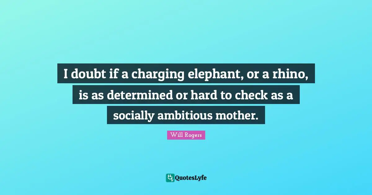 I doubt if a charging elephant, or a rhino, is as determined or hard to check as a socially ambitious mother.