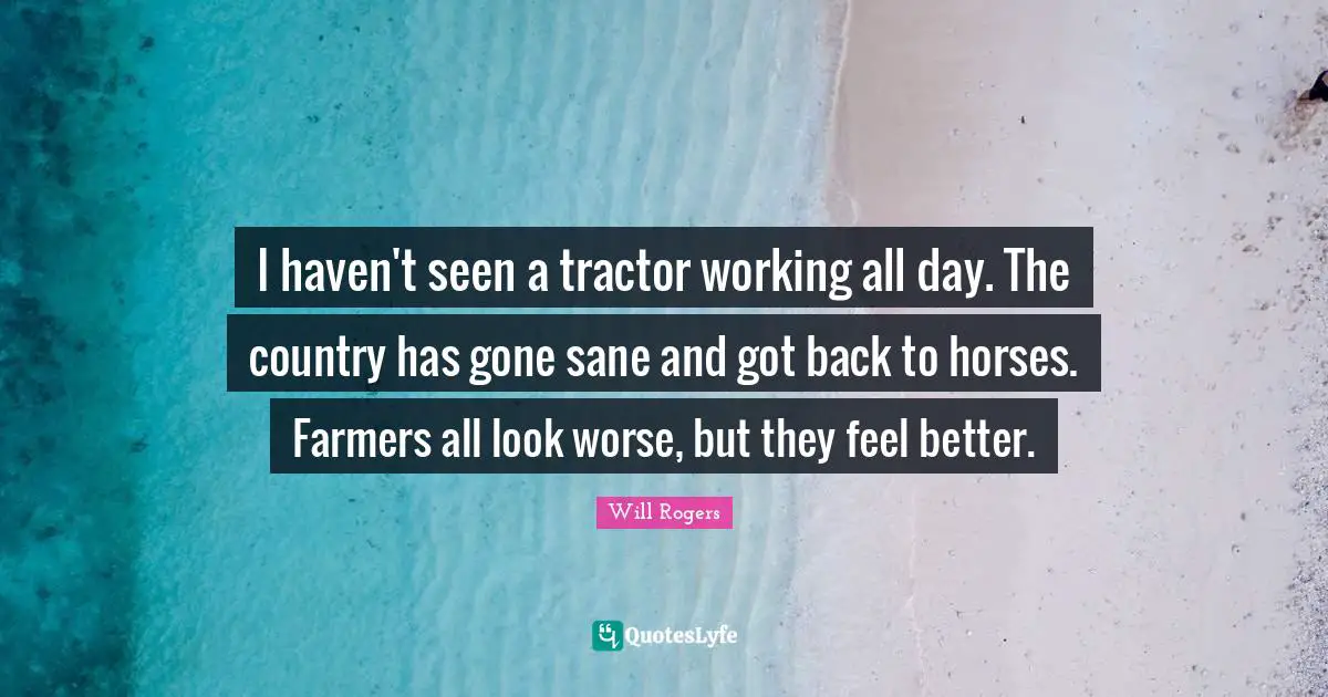 I haven't seen a tractor working all day. The country has gone sane and got back to horses. Farmers all look worse, but they feel better.