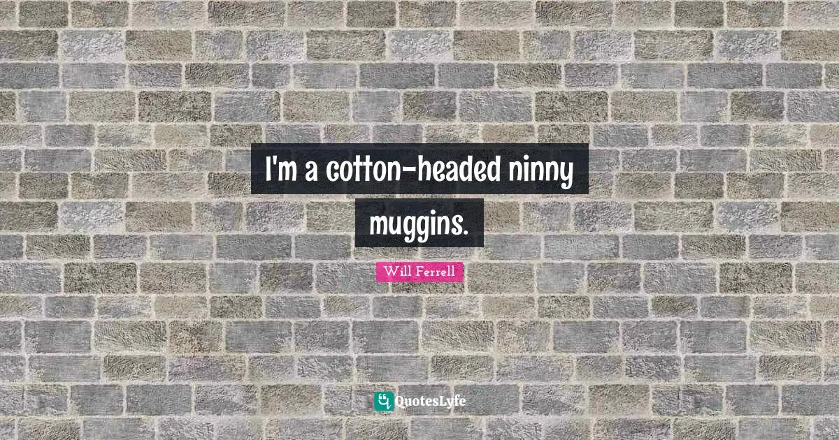 I'm a cotton-headed ninny muggins.
