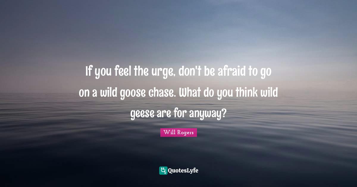 If you feel the urge, don't be afraid to go on a wild goose chase. What do you think wild geese are for anyway?