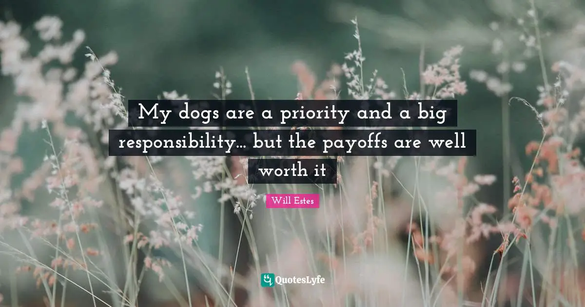 My dogs are a priority and a big responsibility... but the payoffs are well worth it