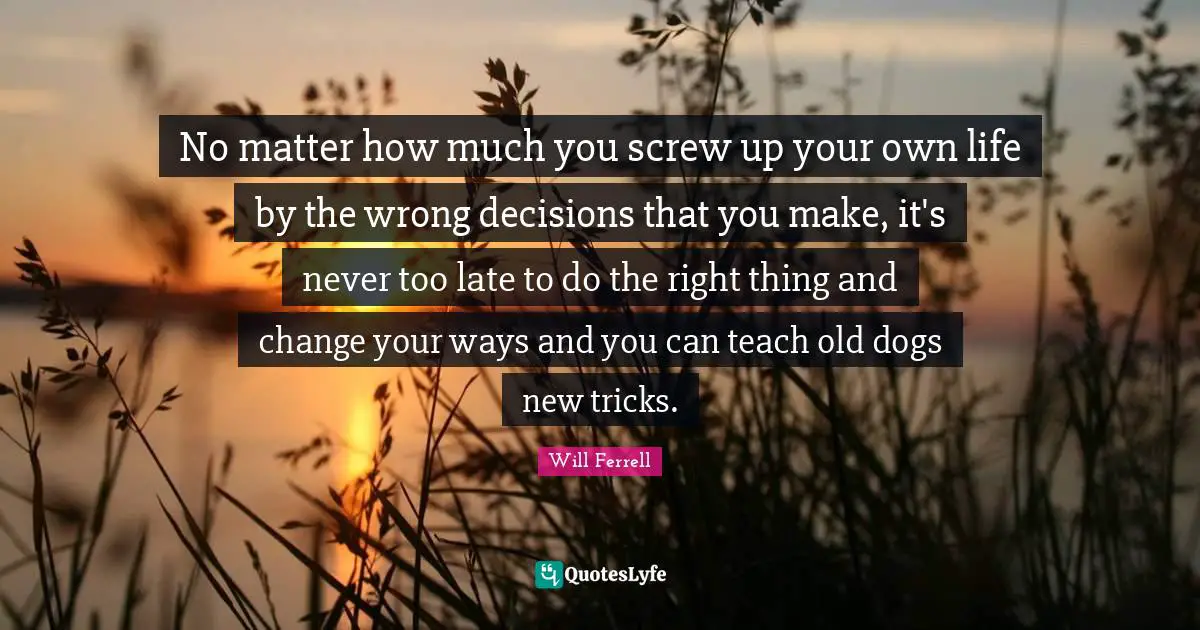 No matter how much you screw up your own life by the wrong decisions that you make, it's never too late to do the right thing and change your ways and you can teach old dogs new tricks.