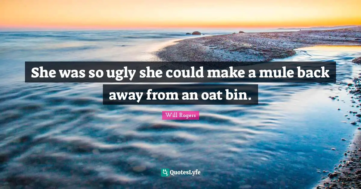 She was so ugly she could make a mule back away from an oat bin.