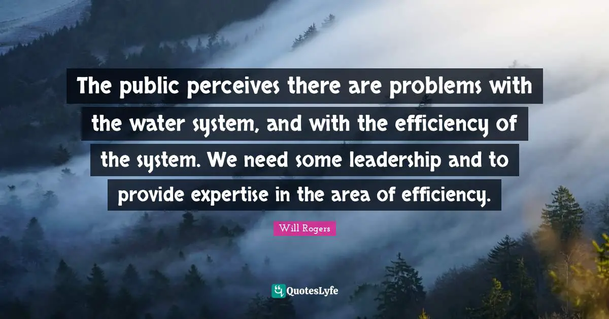 The public perceives there are problems with the water system, and with the efficiency of the system. We need some leadership and to provide expertise in the area of efficiency.