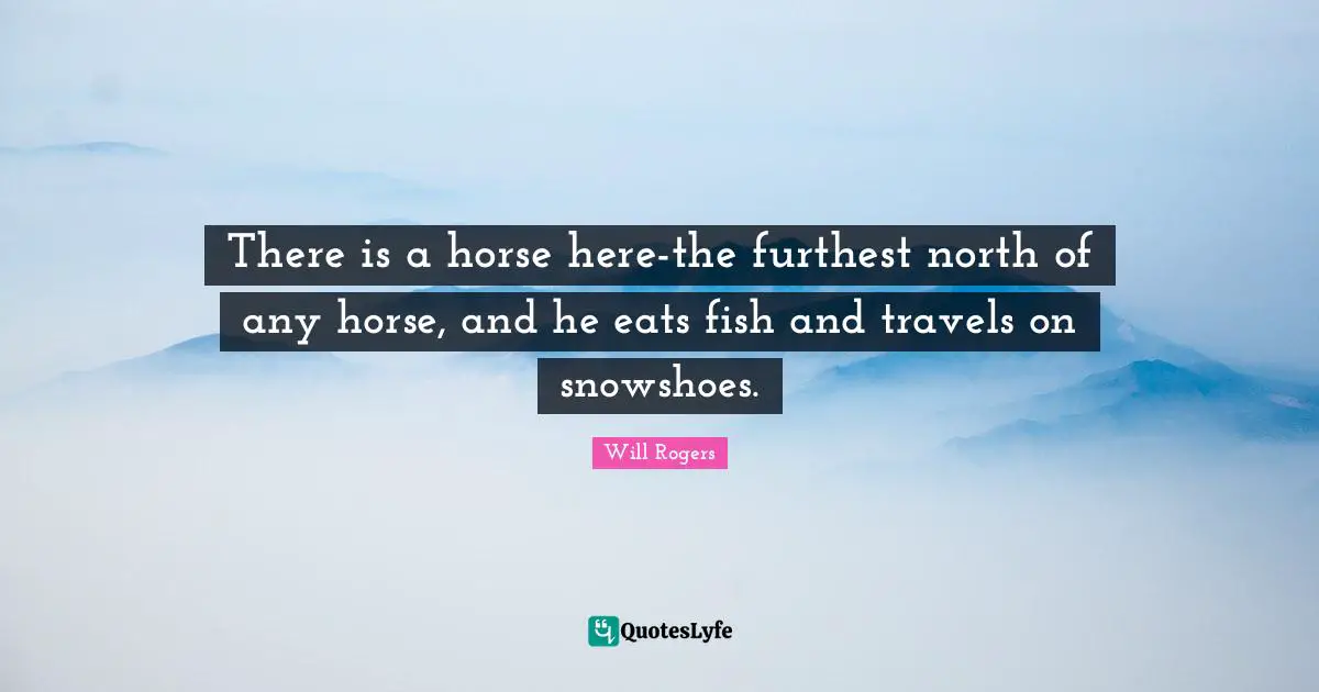 There is a horse here-the furthest north of any horse, and he eats fish and travels on snowshoes.