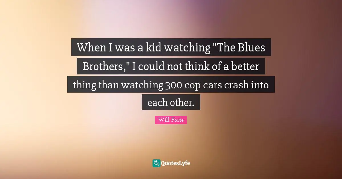 When I was a kid watching "The Blues Brothers," I could not think of a better thing than watching 300 cop cars crash into each other.