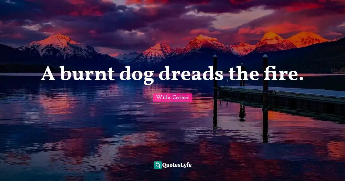Willa Cather Quotes: "A burnt dog dreads the fire."