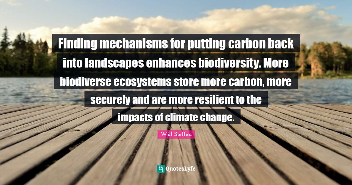 Finding mechanisms for putting carbon back into landscapes enhances bi