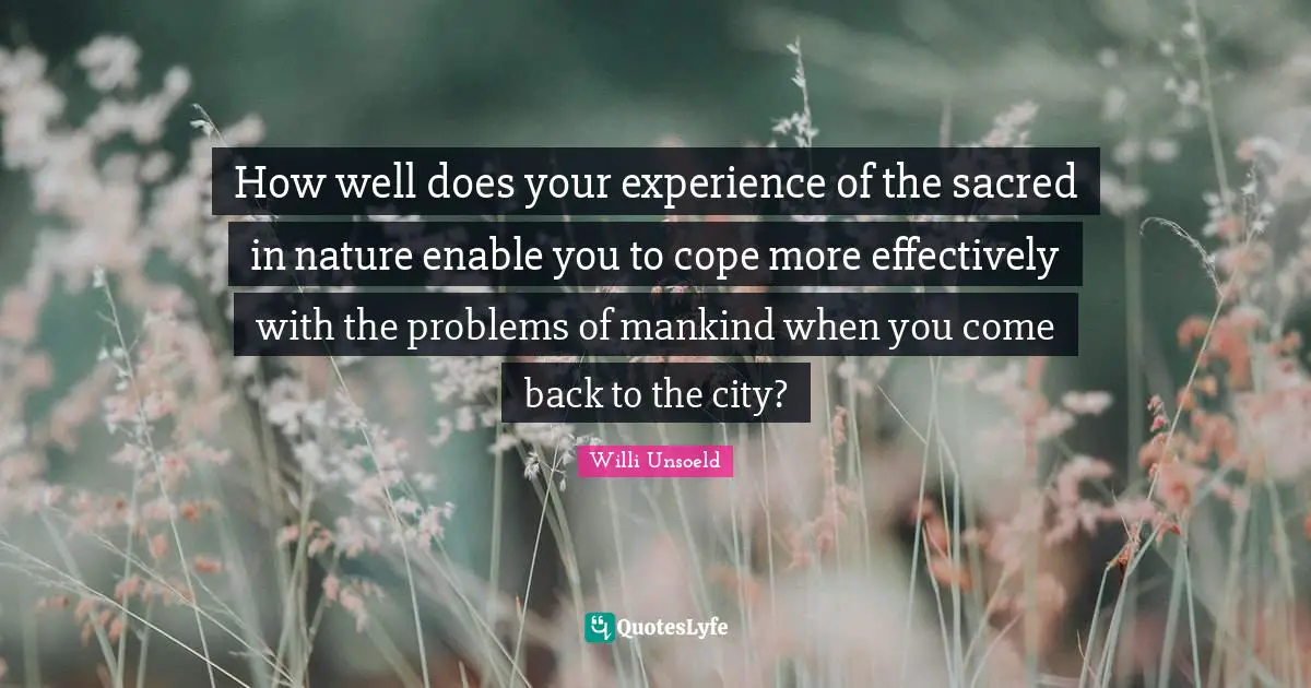 How well does your experience of the sacred in nature enable you to cope more effectively with the problems of mankind when you come back to the city?