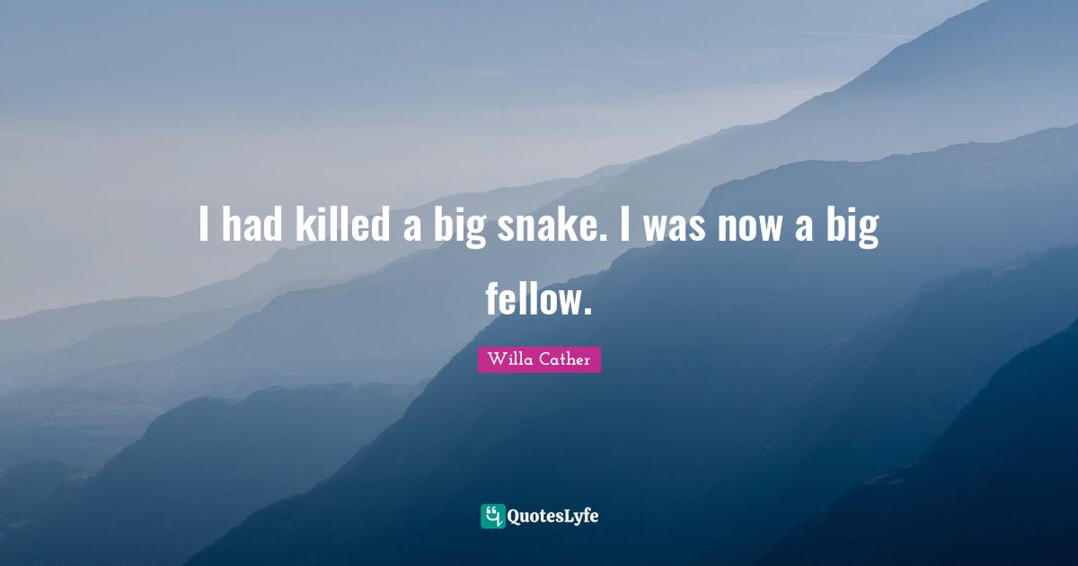 I had killed a big snake. I was now a big fellow.