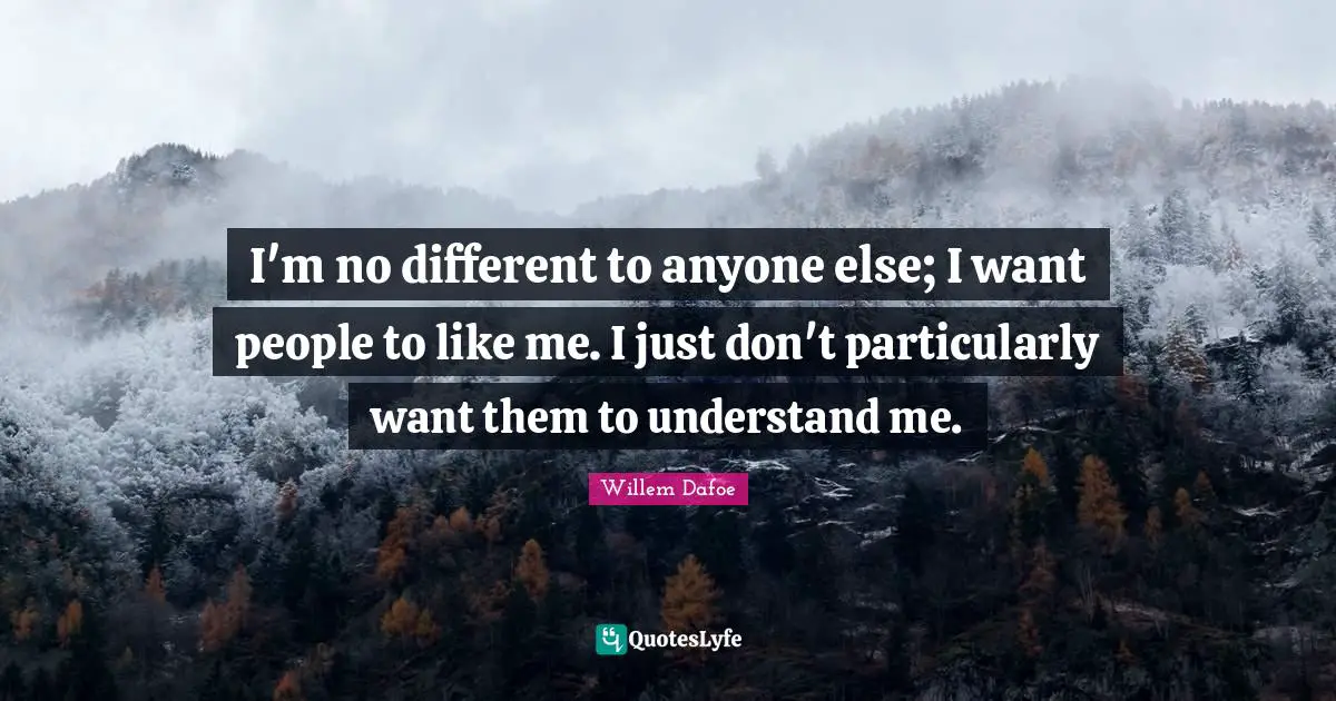 I'm no different to anyone else; I want people to like me. I just don't particularly want them to understand me.