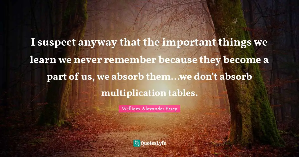 I suspect anyway that the important things we learn we never remember because they become a part of us, we absorb them...we don't absorb multiplication tables.