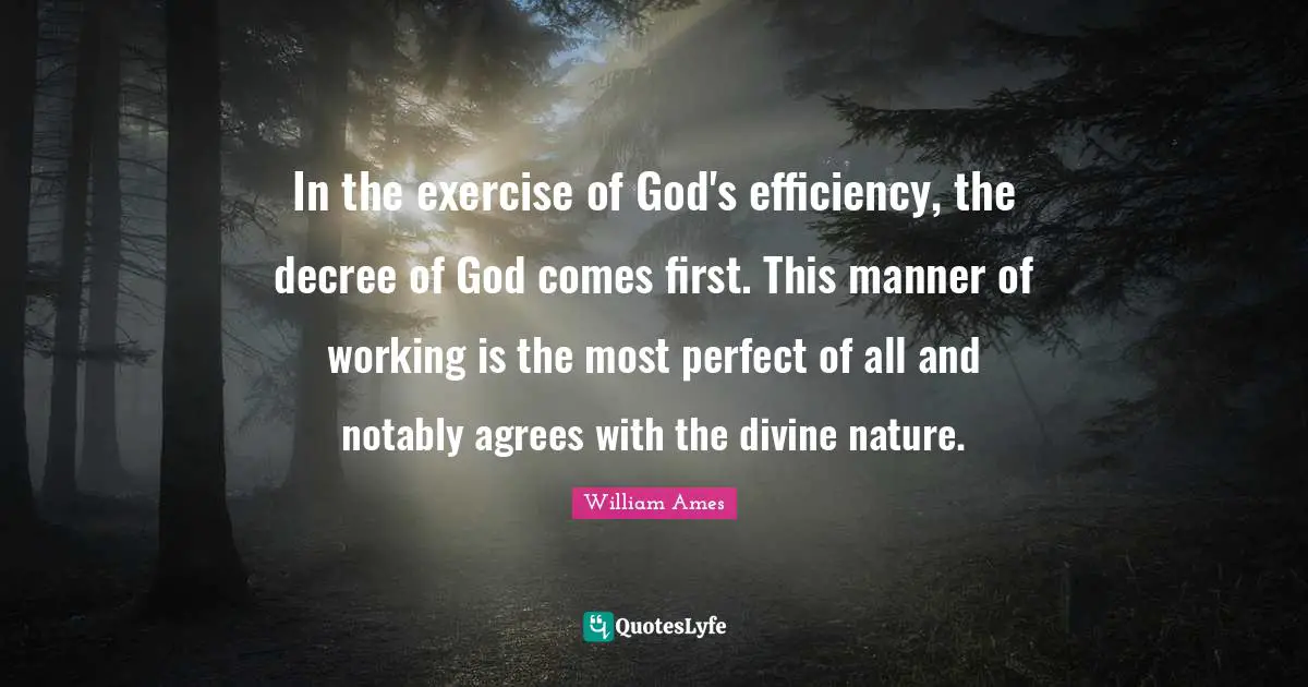In the exercise of God's efficiency, the decree of God comes first. This manner of working is the most perfect of all and notably agrees with the divine nature.