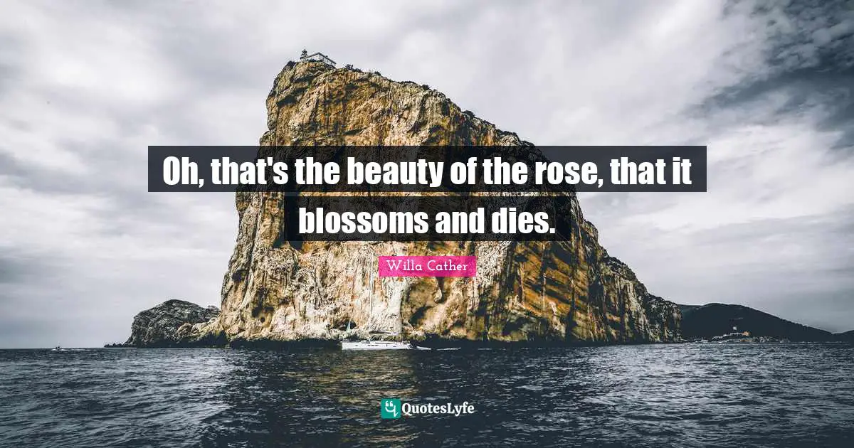 Willa Cather Quotes: "Oh, that's the beauty of the rose, that it blossoms and dies."