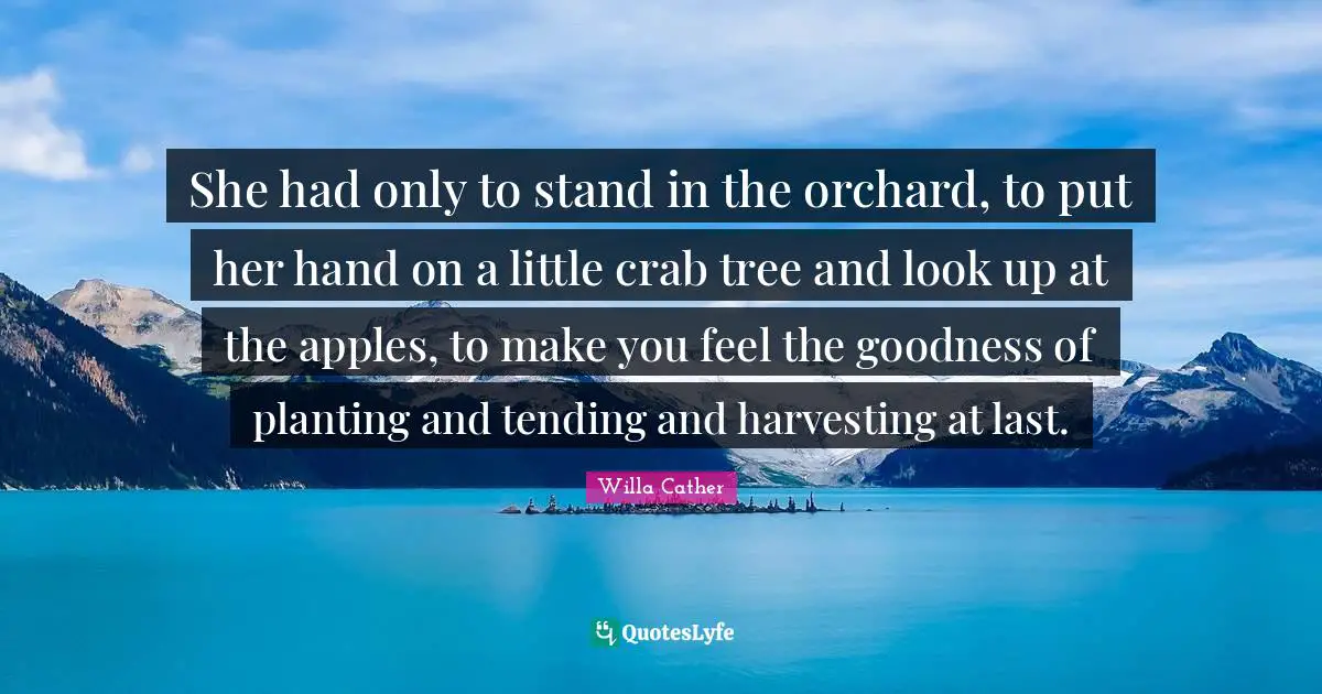 Willa Cather Quotes: "She had only to stand in the orchard, to put her hand on a little crab tree and look up at the apples, to make you feel the goodness of planting and tending and harvesting at last."