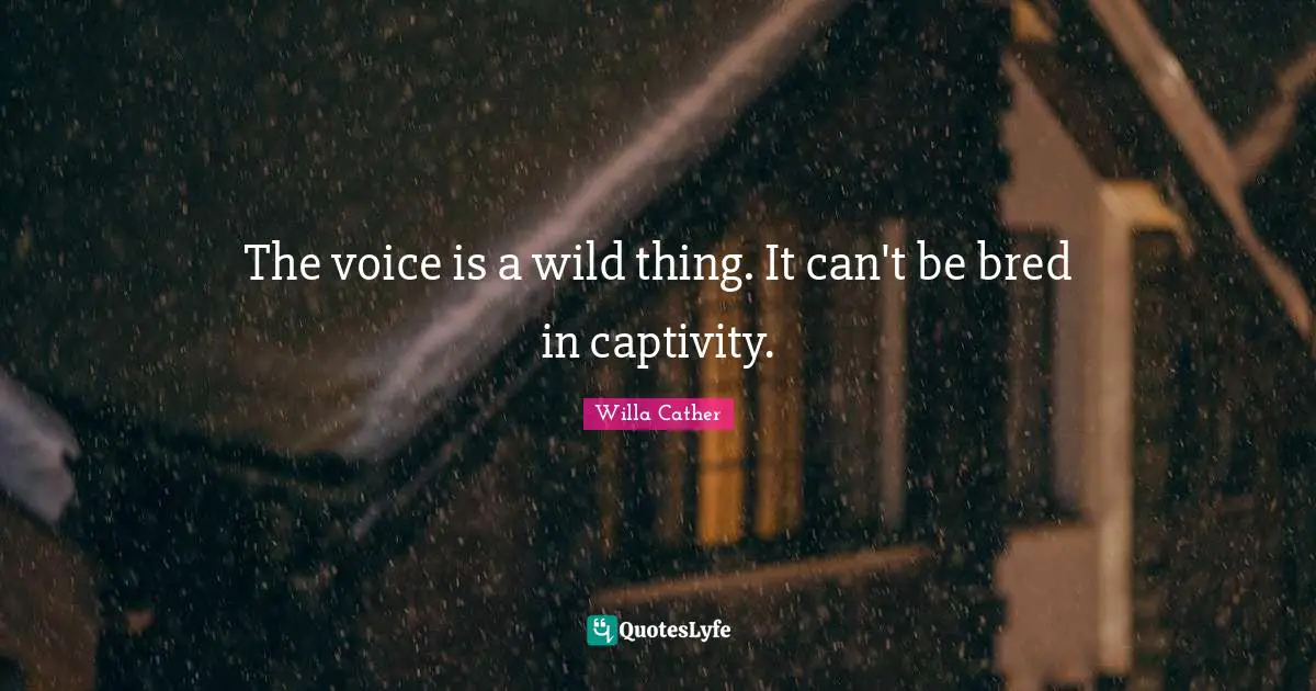 Willa Cather Quotes: "The voice is a wild thing. It can't be bred in captivity."