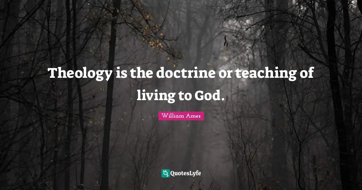 Theology is the doctrine or teaching of living to God.