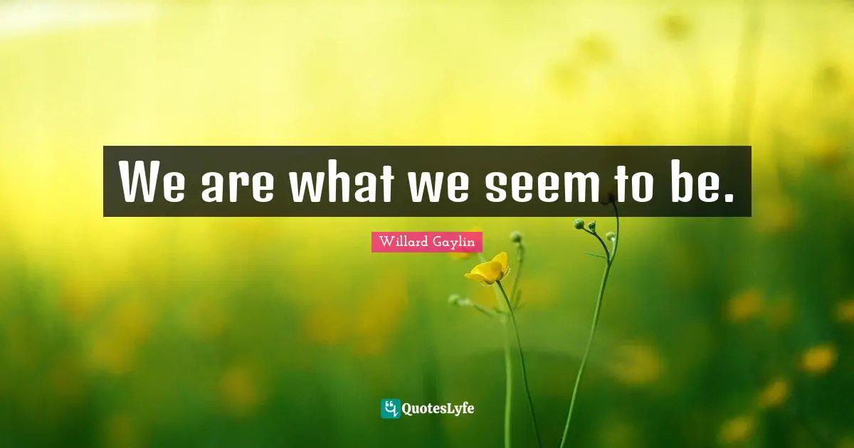 We are what we seem to be.