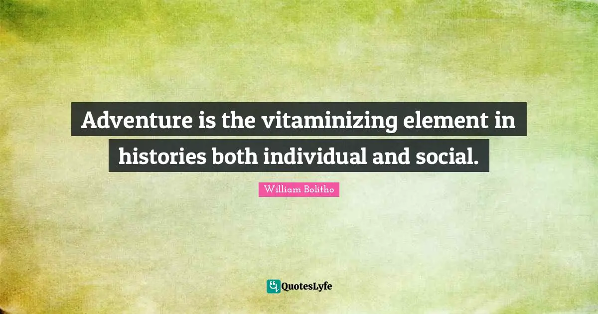 Adventure is the vitaminizing element in histories both individual and social.