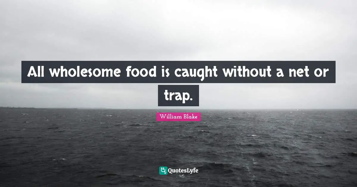 William Blake Quotes: "All wholesome food is caught without a net or trap."
