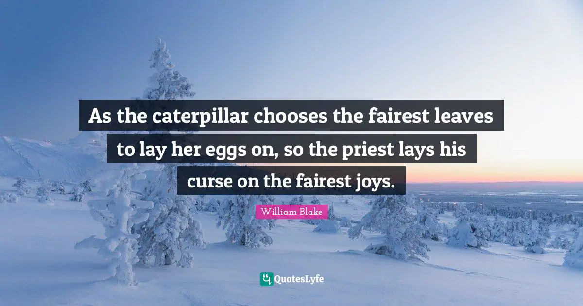 Eggs Quotes: "As the caterpillar chooses the fairest leaves to lay her eggs on, so the priest lays his curse on the fairest joys."