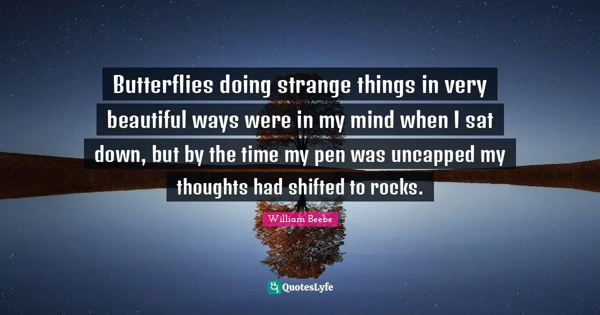 Butterflies doing strange things in very beautiful ways were in my mind when I sat down, but by the time my pen was uncapped my thoughts had shifted to rocks.