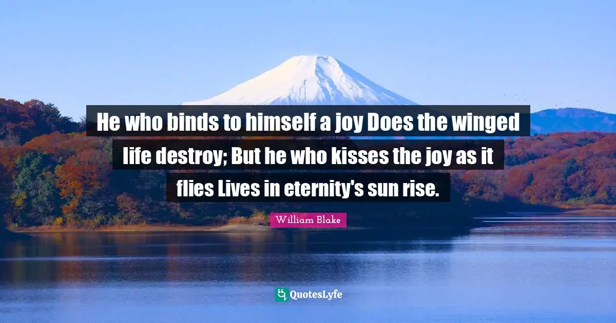 William Blake Quotes: He who binds to himself a joy Does the winged life destroy; But he who kisses the joy as it flies Lives in eternity's sun rise.