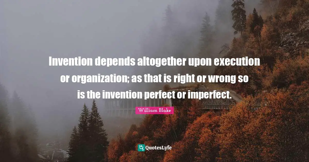 Invention depends altogether upon execution or organization; as that is right or wrong so is the invention perfect or imperfect.