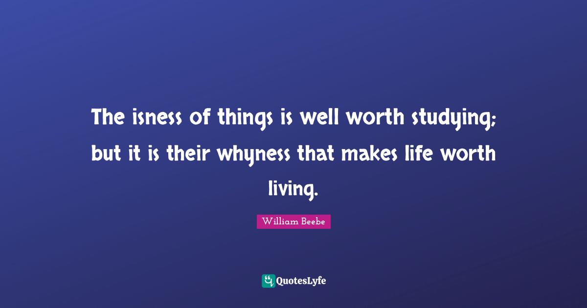 The isness of things is well worth studying; but it is their whyness that makes life worth living.