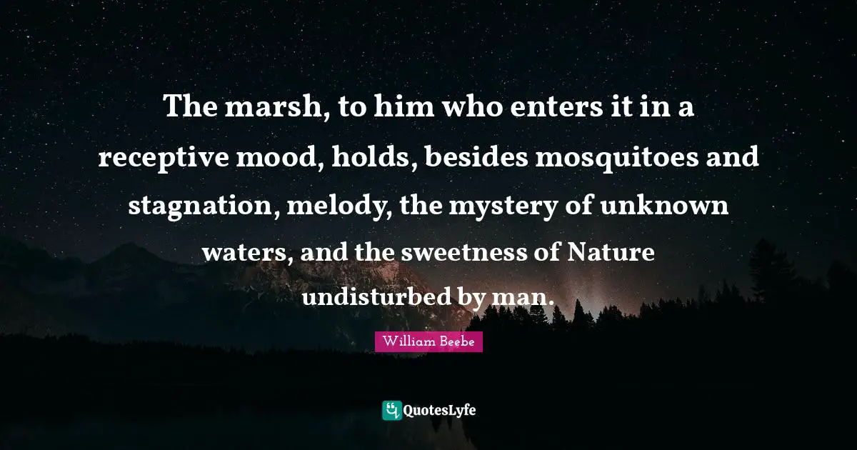 Mosquitoes Quotes: "The marsh, to him who enters it in a receptive mood, holds, besides mosquitoes and stagnation, melody, the mystery of unknown waters, and the sweetness of Nature undisturbed by man."