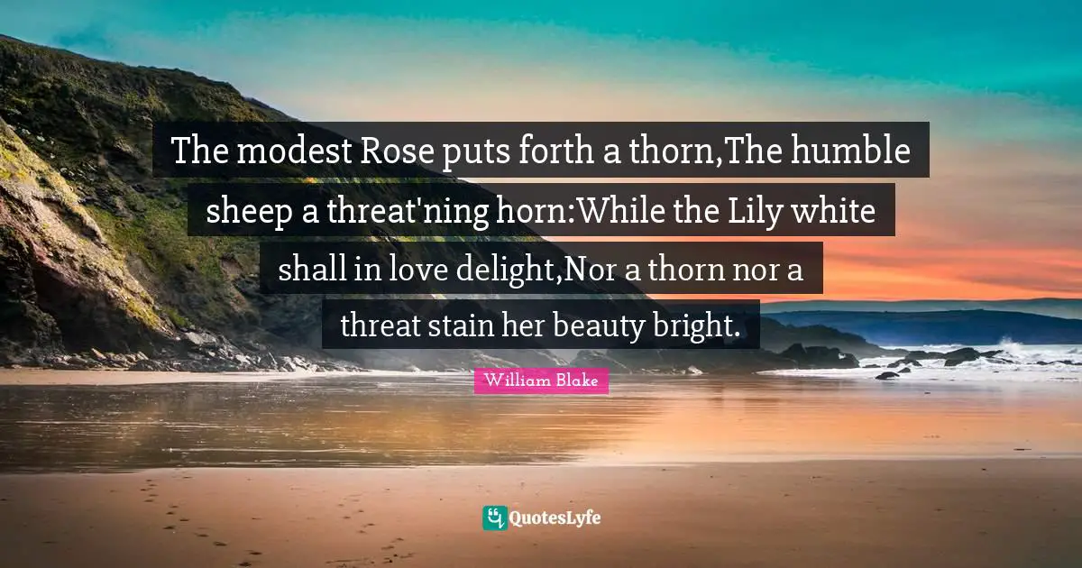William Blake Quotes: "The modest Rose puts forth a thorn,The humble sheep a threat'ning horn:While the Lily white shall in love delight,Nor a thorn nor a threat stain her beauty bright."
