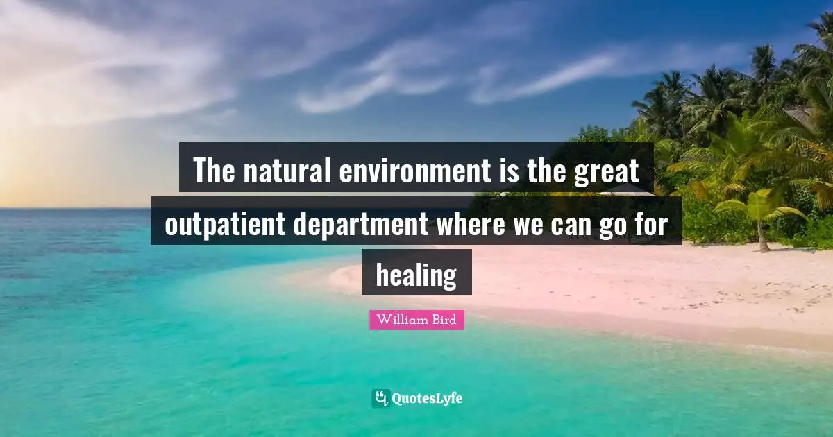 The natural environment is the great outpatient department where we can go for healing