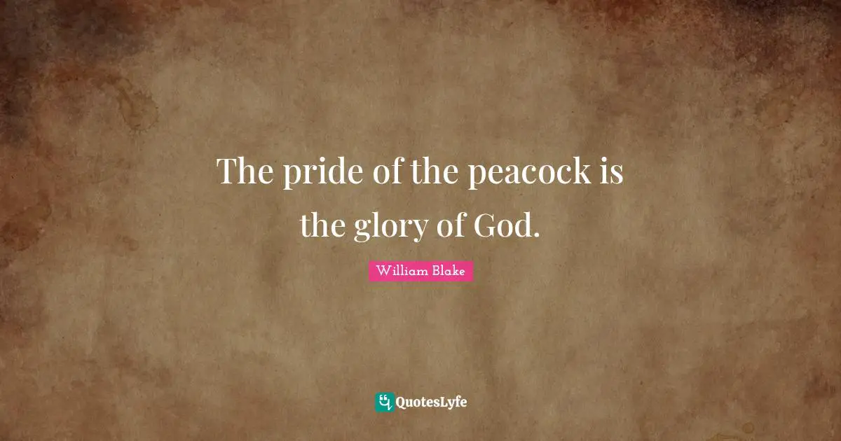 William Blake Quotes: "The pride of the peacock is the glory of God."