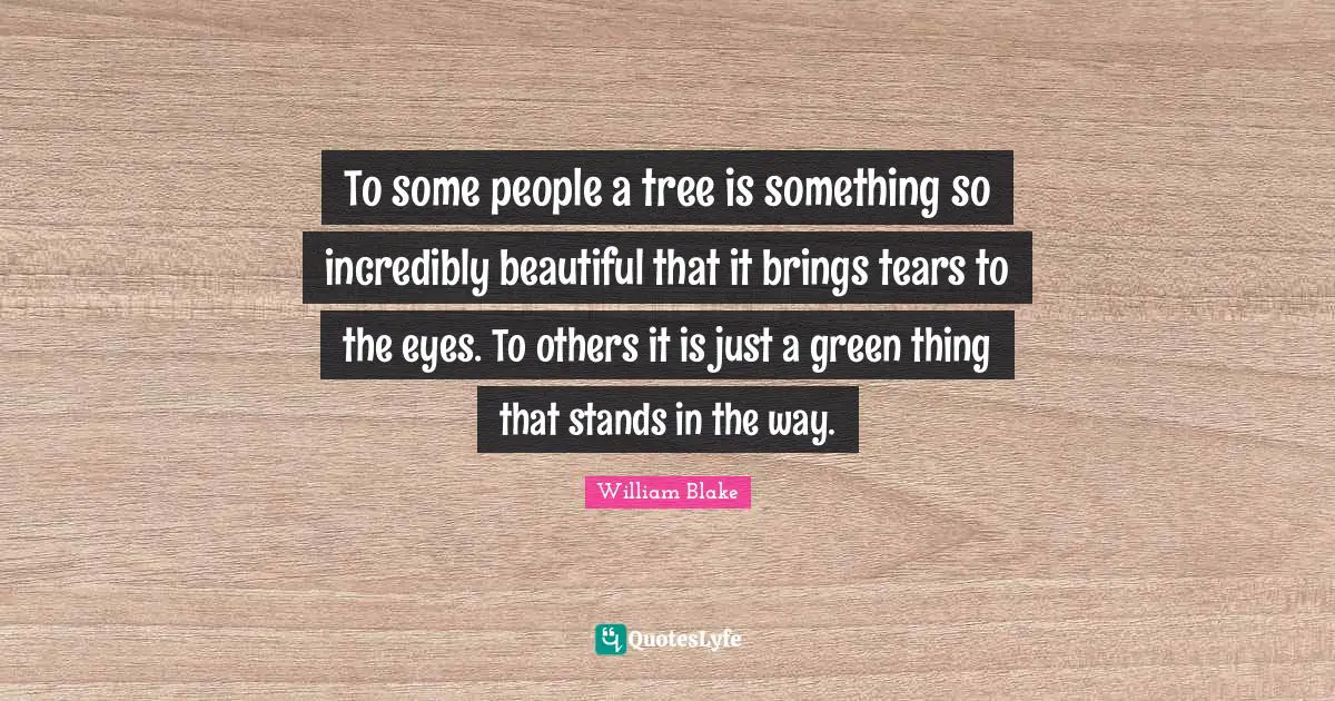 To some people a tree is something so incredibly beautiful that it brings tears to the eyes. To others it is just a green thing that stands in the way.