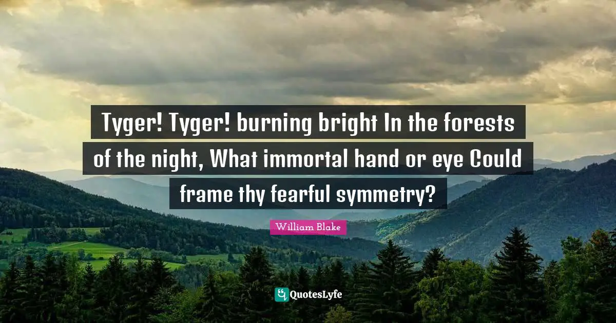 Night Quotes: "Tyger! Tyger! burning bright In the forests of the night, What immortal hand or eye Could frame thy fearful symmetry?"