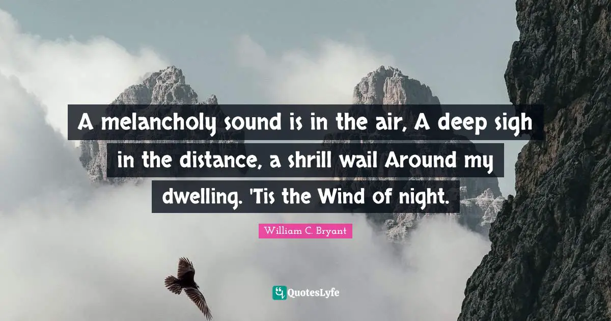 A melancholy sound is in the air, A deep sigh in the distance, a shrill wail Around my dwelling. 'Tis the Wind of night.