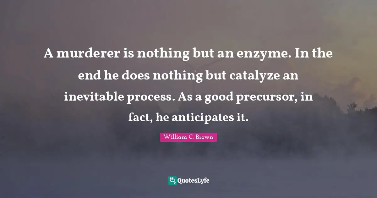 A murderer is nothing but an enzyme. In the end he does nothing but catalyze an inevitable process. As a good precursor, in fact, he anticipates it.