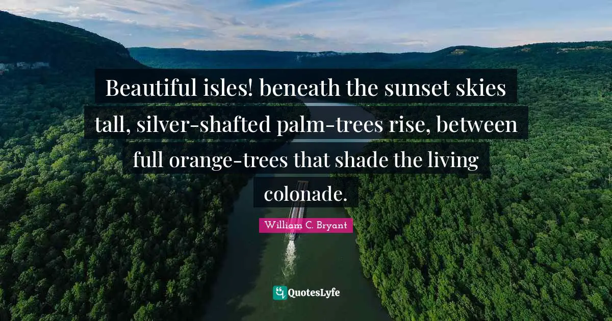 Beautiful isles! beneath the sunset skies tall, silver-shafted palm-trees rise, between full orange-trees that shade the living colonade.