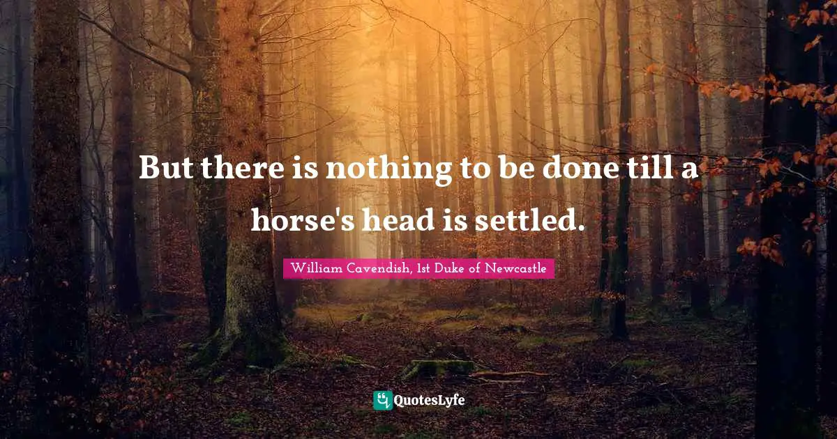 But there is nothing to be done till a horse's head is settled.