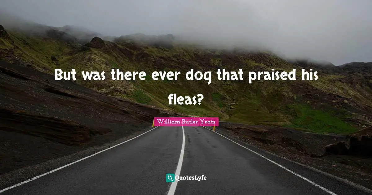 William Butler Yeats Quotes: "But was there ever dog that praised his fleas?"