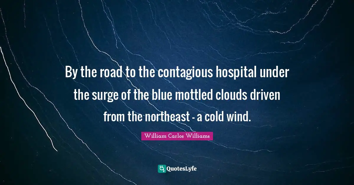 By the road to the contagious hospital under the surge of the blue mottled clouds driven from the northeast - a cold wind.