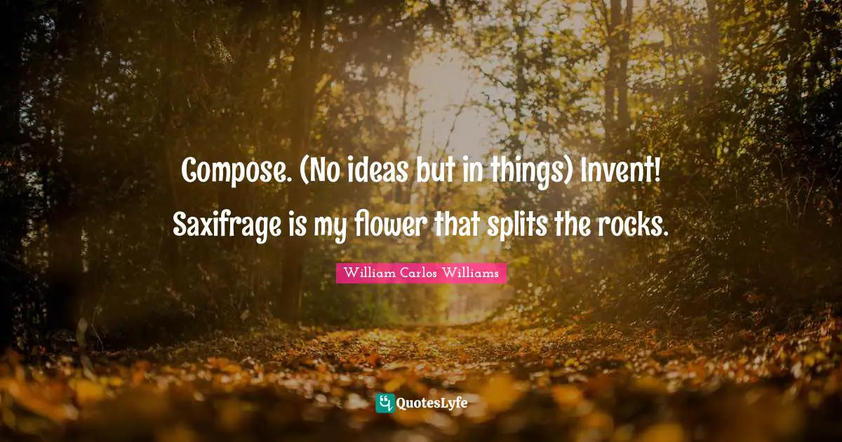 William Carlos Williams Quotes: "Compose. (No ideas but in things) Invent! Saxifrage is my flower that splits the rocks."