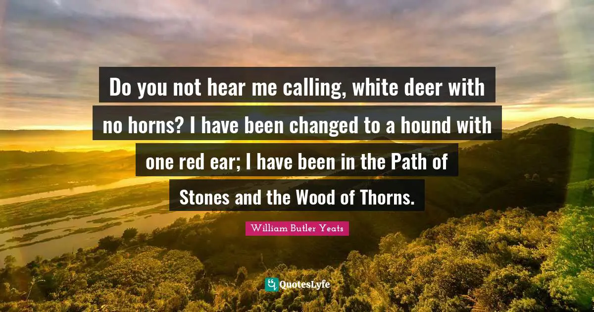 Do you not hear me calling, white deer with no horns? I have been changed to a hound with one red ear; I have been in the Path of Stones and the Wood of Thorns.