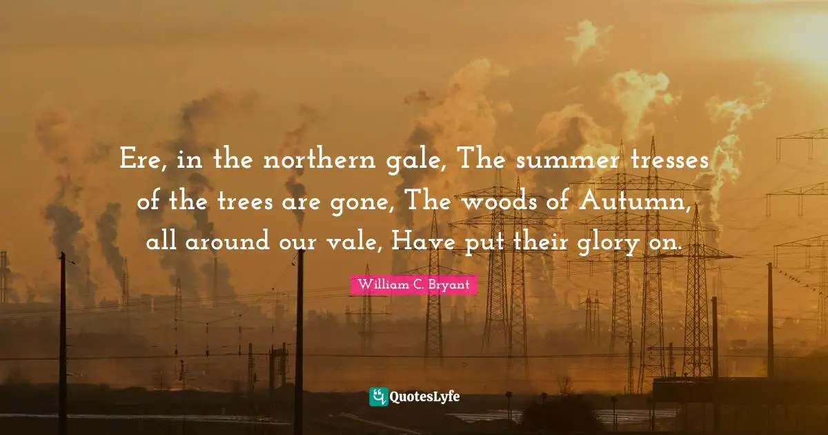 Tresses Quotes: "Ere, in the northern gale, The summer tresses of the trees are gone, The woods of Autumn, all around our vale, Have put their glory on."