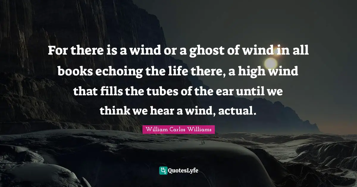 For there is a wind or a ghost of wind in all books echoing the life there, a high wind that fills the tubes of the ear until we think we hear a wind, actual.