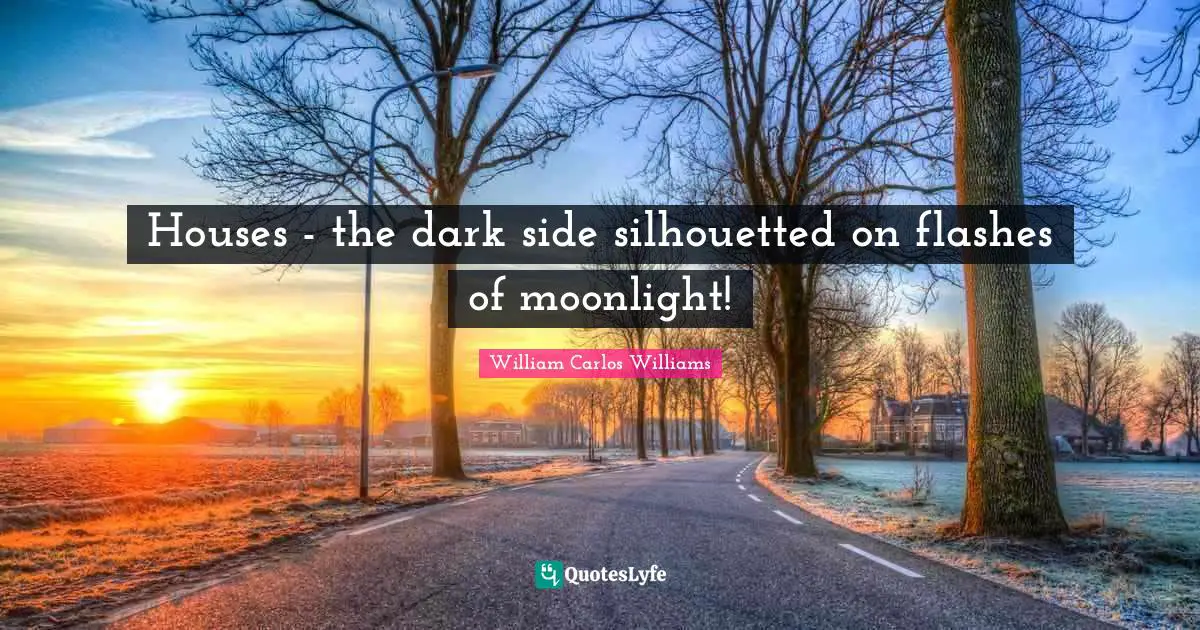 Houses - the dark side silhouetted on flashes of moonlight!