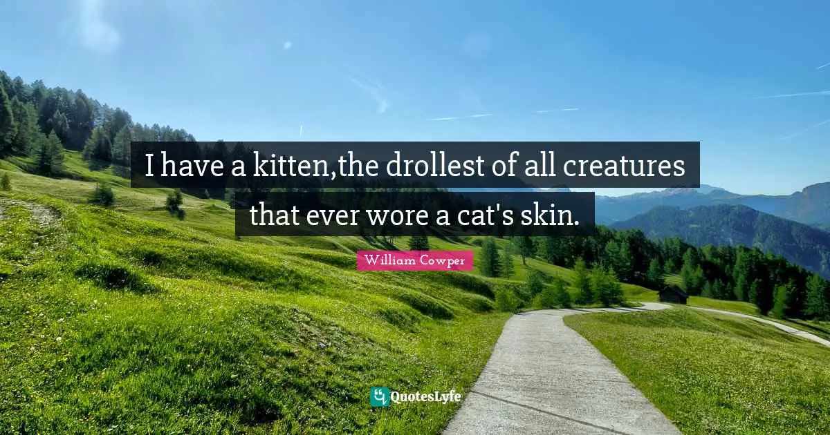 I have a kitten,the drollest of all creatures that ever wore a cat's skin.